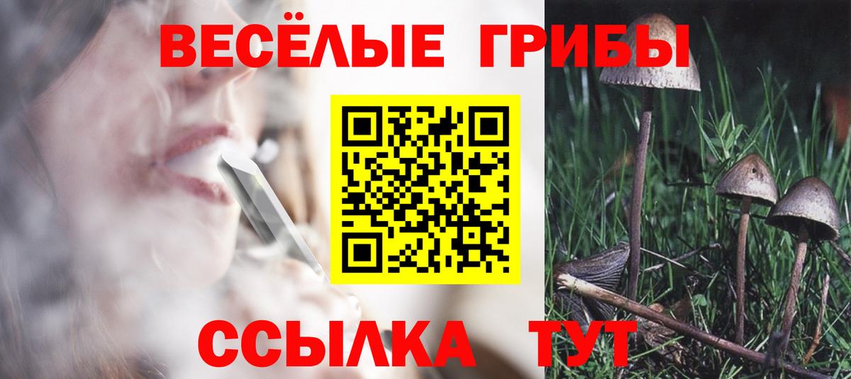 Октябрьский  Галлюциногенные грибы прущие грибы  Вход с VPN  Псилоцибиновые грибы Psilocybine cubensis 